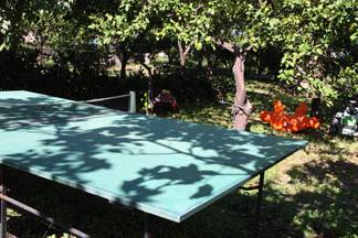 Tavolo da ping pong 