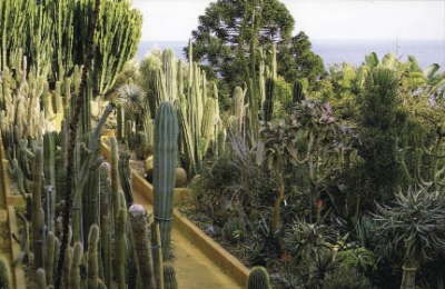 Exotic Garden of Pallanca in Bordighera 
