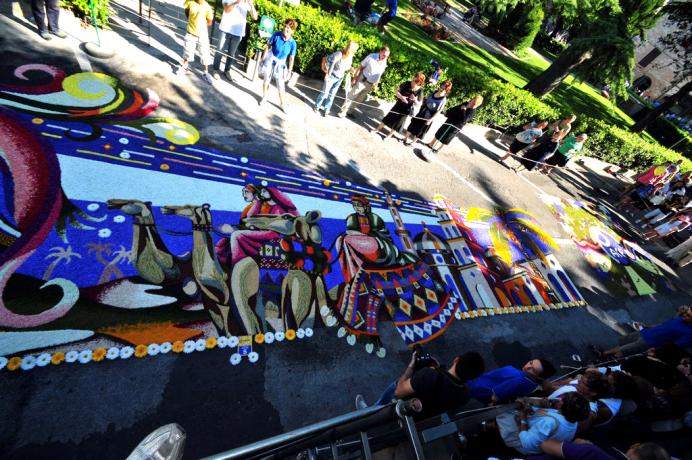 infiorata di Spello Disegno vncitore