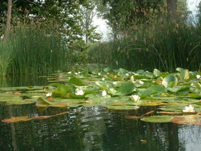 Vacanza vicino alla Natura, parco dell´Adda