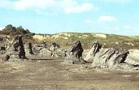 Il giacimento fossile