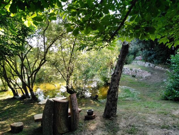 Casale con laghetto ideale per animali Castiglione-del-Lago