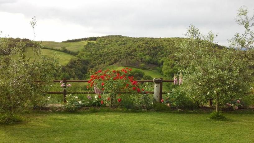 Tra Montalcino e Siena casa Vacanza 10 persone