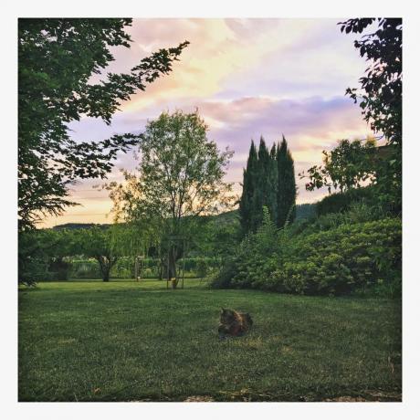 Agriturismo B&B con animali