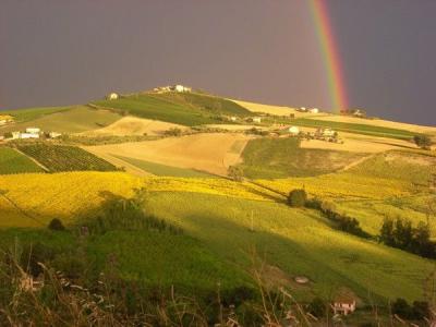 Last Minute in Agriturismo vicino a Ripatransone