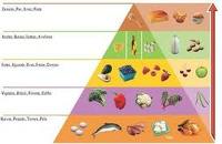 alimenti giusti per dieta