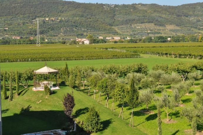 Agriturismo nel verde tra oliveti e vigneti	 