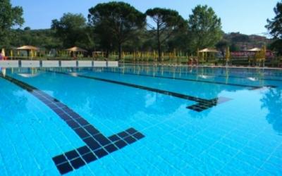 Piscina per nuotatori professionisti. con trampolino