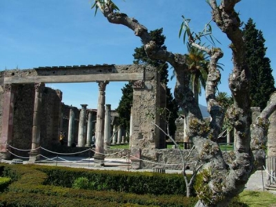 pompei la casa del fauno