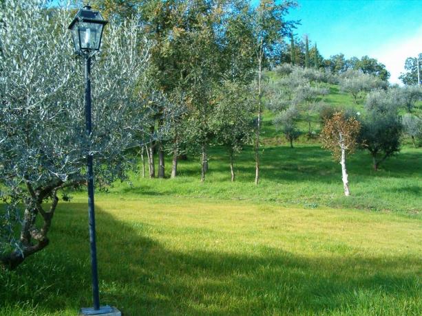 Green paths around the Villa