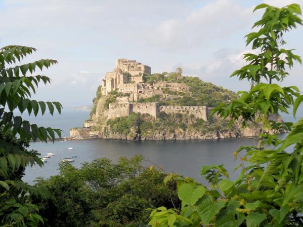 Veduta dell'Isola di Ischia  