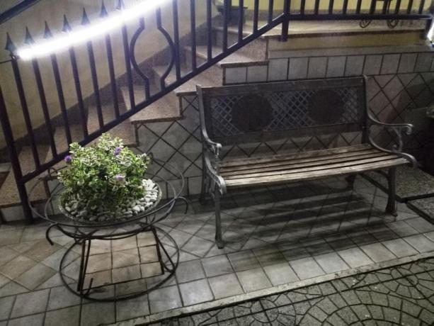 giardino