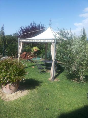 Grande spazio all'aperto con Ombreggianti in piscina