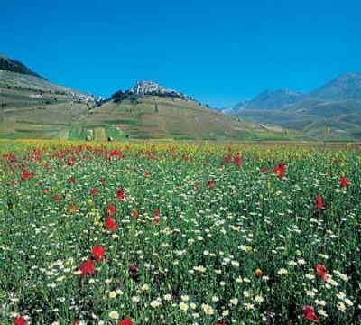 Castelluccio di Norcia 