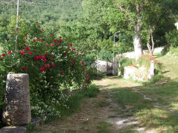 Appartamenti in Abruzzo immersi nella natura