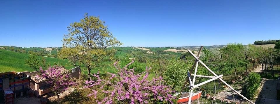 PANORAMA paesaggio collinare vicino borghistorici città d'arte 