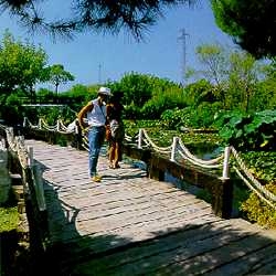 Cosa fare in vacanza a Lignano Sabbiadoro