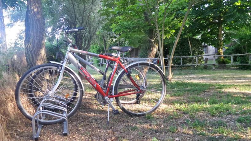 Gita in bicicletta lungo Lago Trasimeno