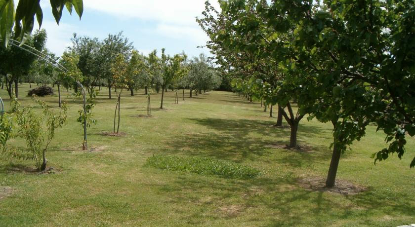 Agriturismo immerso nel verde vicino Argentario 