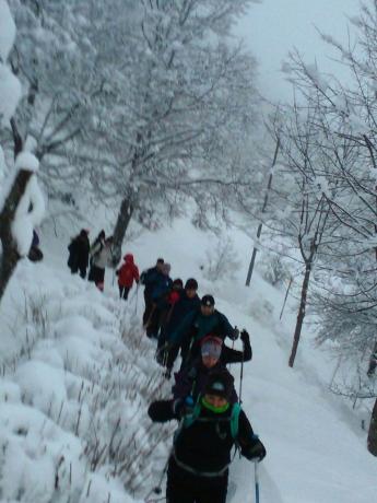 Escursione guidata Balze di Verghereto con Neve. Ciaspolata