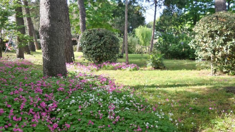 Giardino recintato con barbecue Castiglione-del-Lago