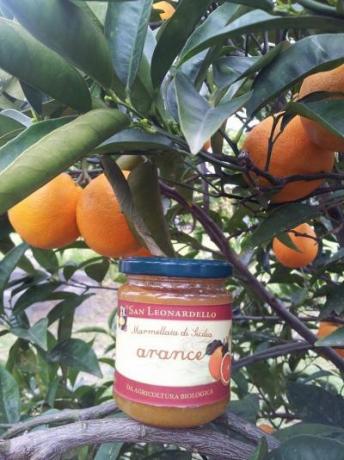 Marmellate fatte con arance biologiche