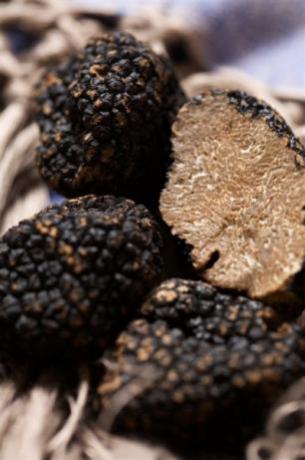 Tartufo nero, scorzone, bianco...