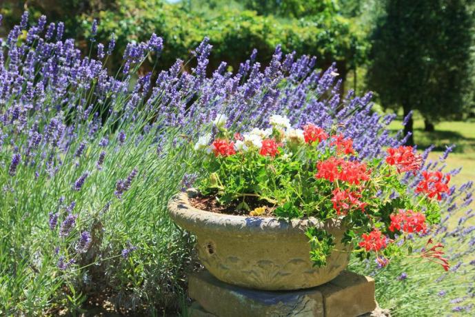 Agriturismo in Umbria immerso nel verde