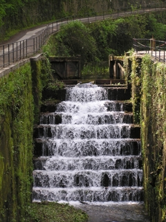 Stunning nature in the park of Adda