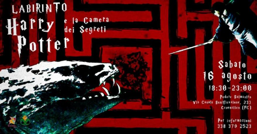Labirinto Harry Potter e la Camera dei Segreti