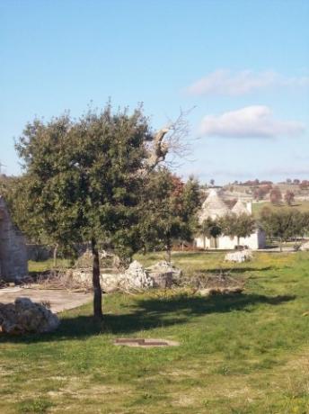 Miglior offerta last Minute Trulli in Puglia