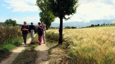 camminanda 2007 promontefalco