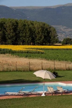 Proprietà interamente recintata