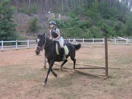 Trekking a cavallo e campus per ragazzi