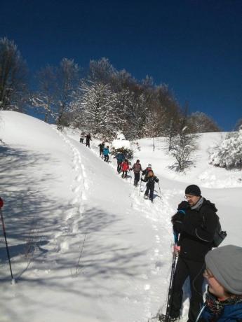 Ciaspolata da Montecoronaro a Balze di Verghereto.