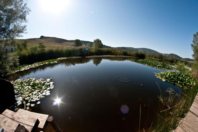 palude immersa nella natura incontaminata umbra  