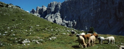 Vacanze nella natura in Trentino