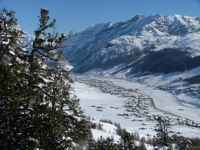 Information, skischool in Livigno  