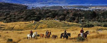 Trekking/lezione di equitazione