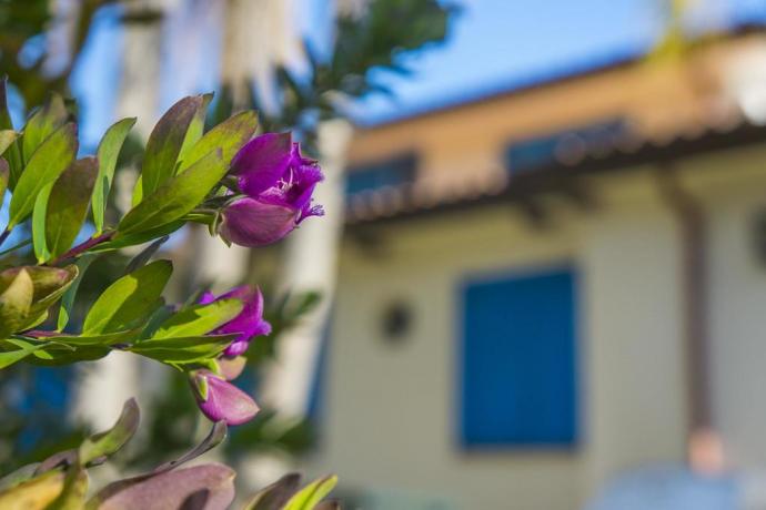 Hotel zona Sabaudia, immerso nel Parco del Circeo