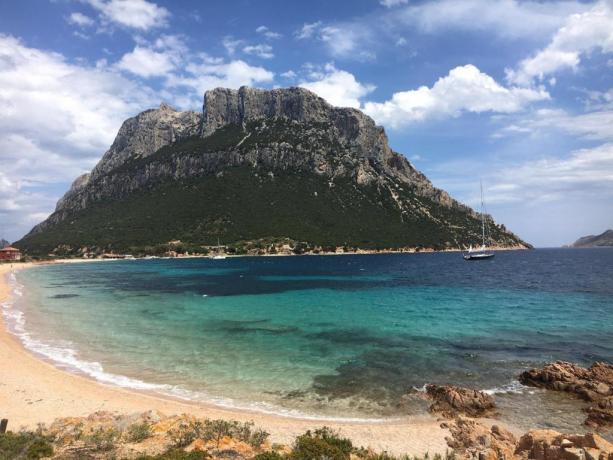 Appartamenti vicino Isola di Tavolara Sardegna 