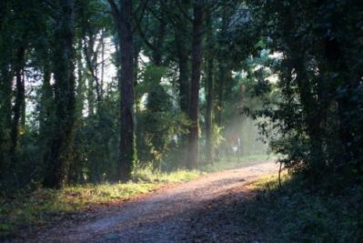 Stay near the Circeo National Park