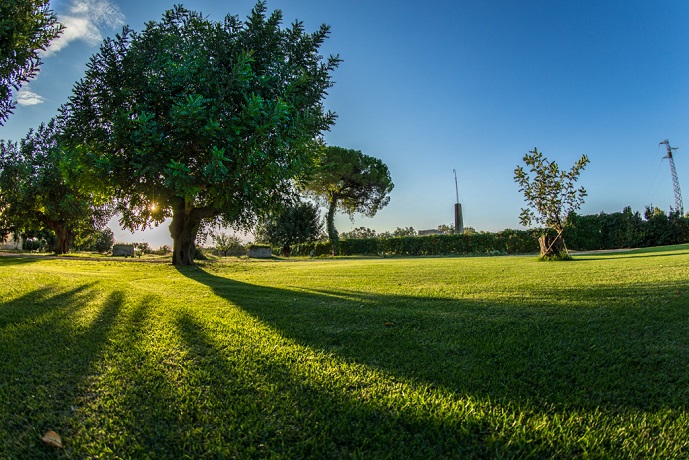 Podere nel Salento immerso nel verde 