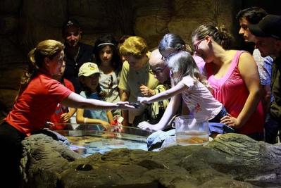 Touching Star-Fish and Learning about the sea