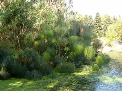 riserve naturali a siracusa