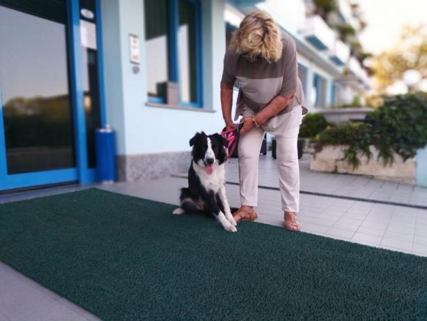 Hotel per animali Roseto degli Abruzzi