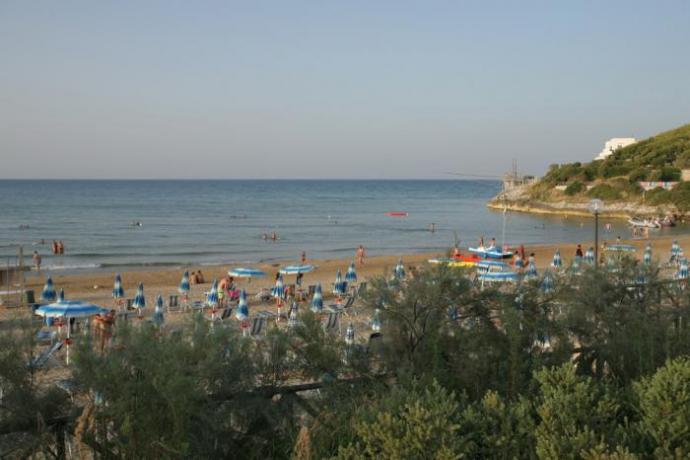 Hotel Low Cost con Spiaggia-Privata attrezzata  