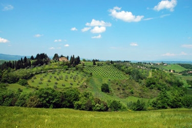 Agritourism in Chianti