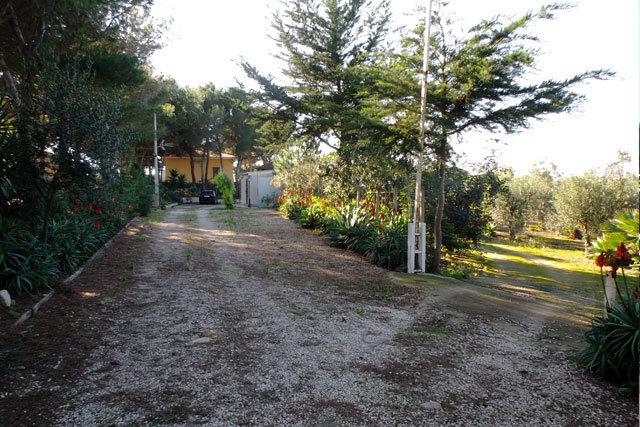 B&B immerso fra ulivi e pini