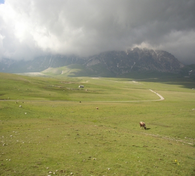 L'immenso verde